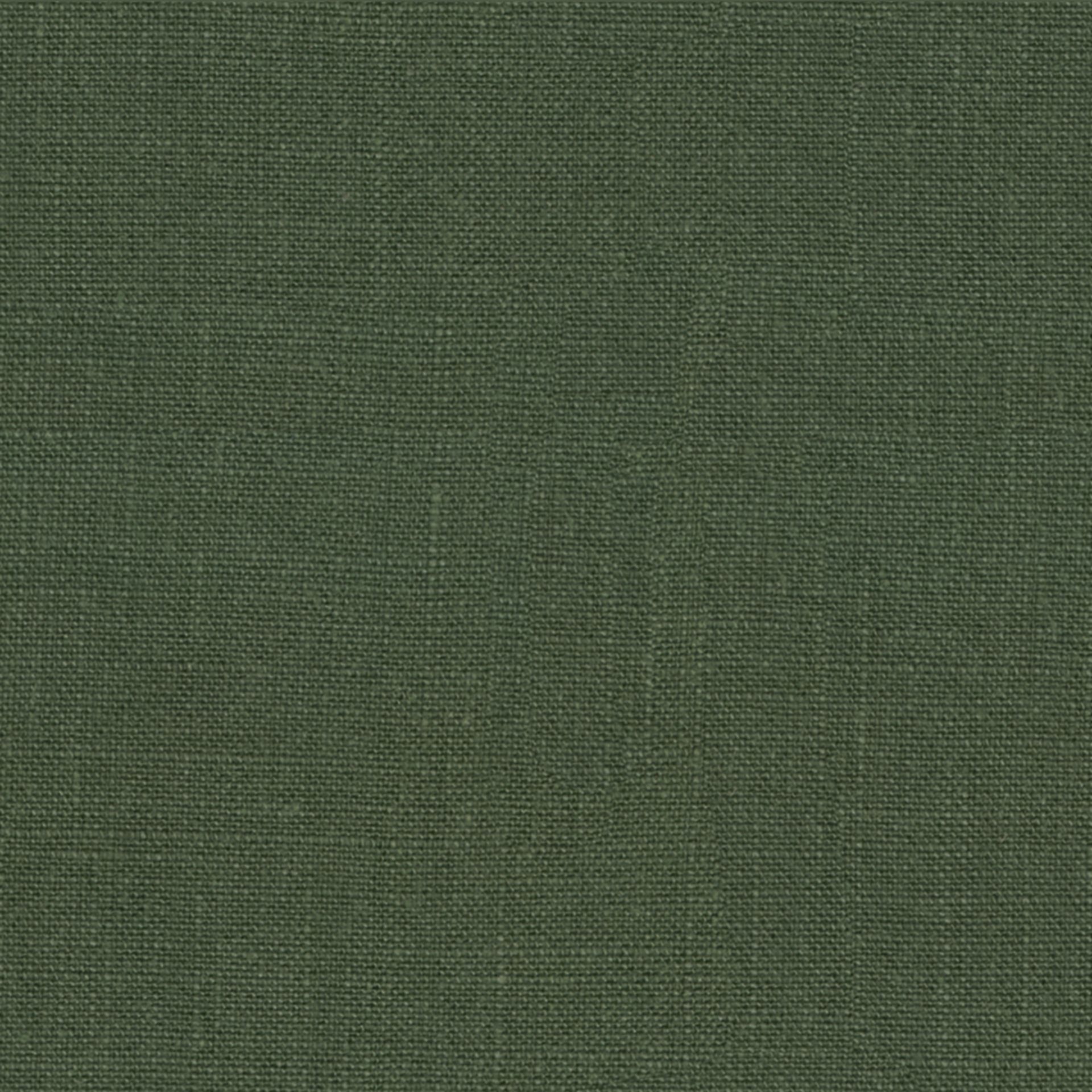 Fabric Sample 